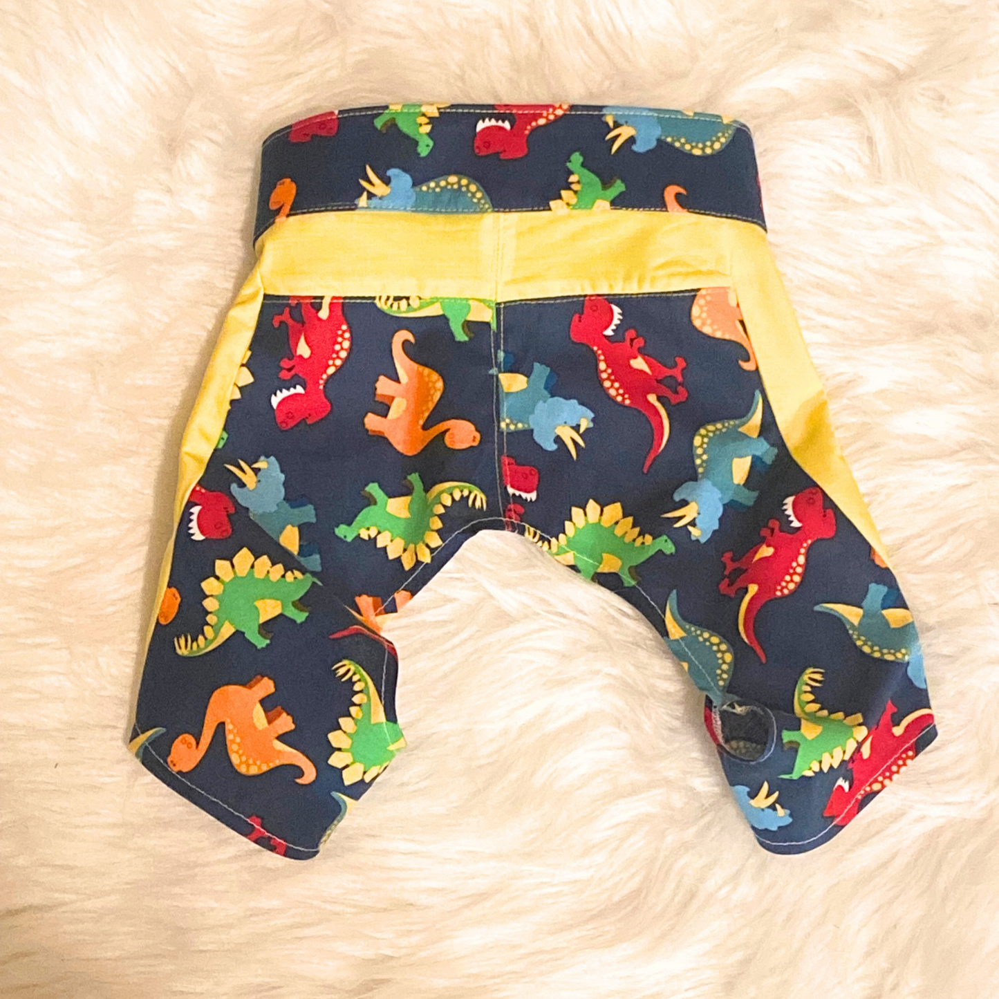 Dog Dinosaur Shorts