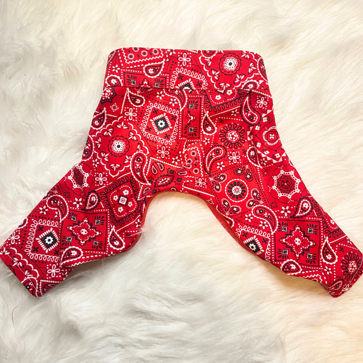 Dog Bandana Shorts